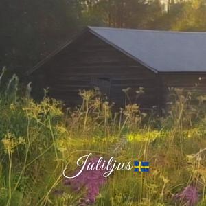 Juliljus (Svensk version)