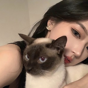 Insomnia (抒情版)