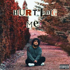 Hurting Me (feat. driplee) [Explicit]