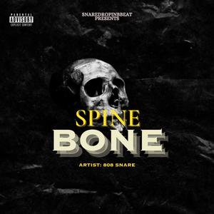 Spine Bone (Explicit)