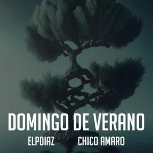 Domingo de verano (feat. Chico Amaro) [Explicit]