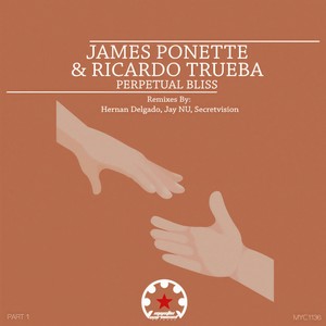 Perpetual Bliss (Jay NU Remix)