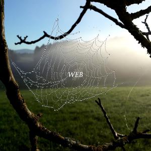 Web