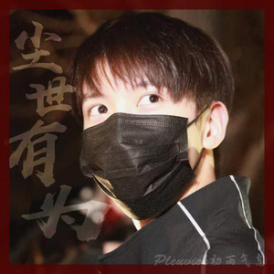 尘世有为