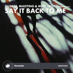 Say It Back To Me (Extended Mix)