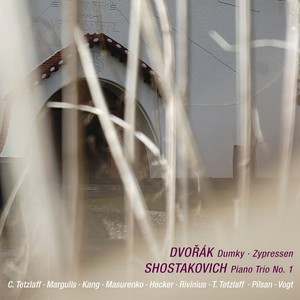 Dumky for Piano, Violin and Cello in E Minor, Op. 90: IV. Andante moderato, quasi tempo di marcia - Allegretto scherzando - Meno