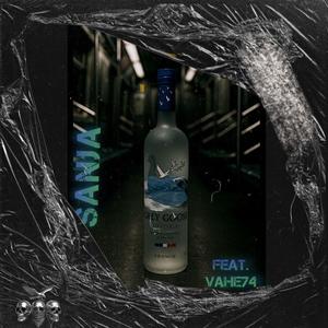 Grey Goose (feat. Vahe74) (Explicit)