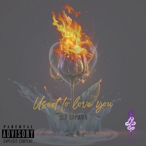 Used To Love You (Explicit)