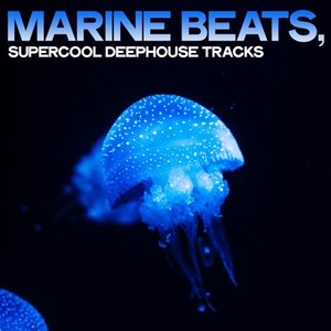 Marine Beats (Supercool Deephouse Tracks)
