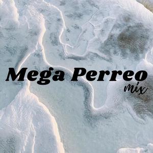 MEGA PERREO