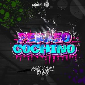 Perreo Cochino (feat. Ache & Gali)