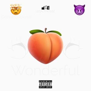 Wonderful (feat. Donald Jackston) [Explicit]