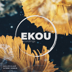 ULTRON (Original Mix)