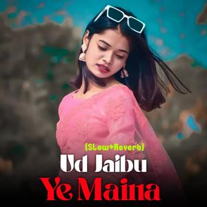 Ud Jaibu Ae Maina (Lofi Mix)
