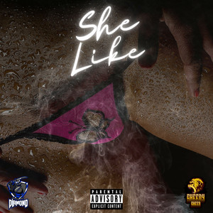 She Like (Explicit)