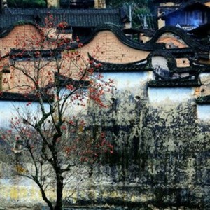 CANT太子 - 爱眉小札