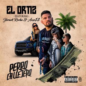 Perro Callejero (feat. Yerack Rocha & Axxess) [Explicit]