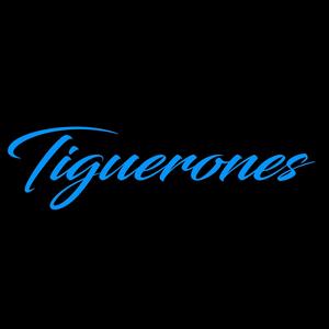 Tiguerones (Reloaded)