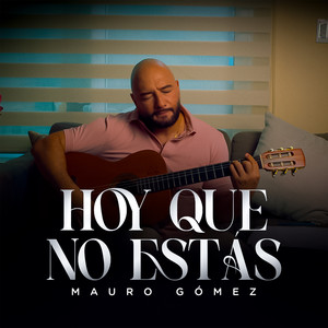 Hoy Que No Estas