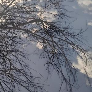 Wet Paint (Interlude)