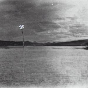 For Jackie Dean Yee 5.7.23