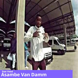 Asambe Van Damm (Radio Edit)