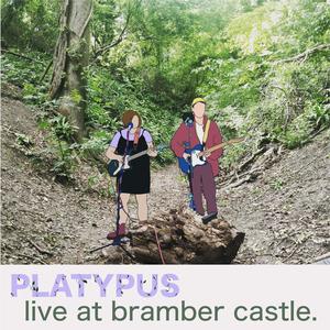 Live at Bramber Castle (Explicit)