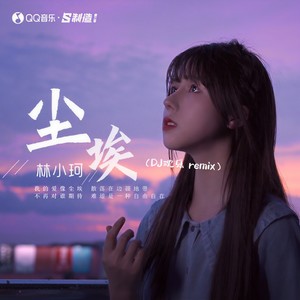 尘埃 (DJ沈乐remix)封面