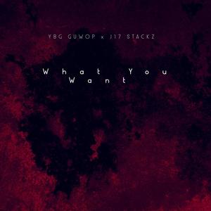 What You Want (feat. YBG GUWOP) [Explicit]