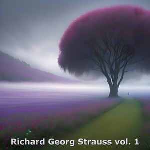 Richard Georg Strauss, Vol. 1