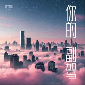 你的副驾