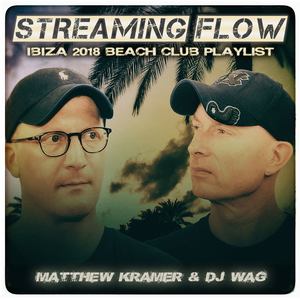 Streaming Flow: Ibiza 2018 Beach Club Playlist