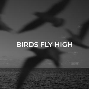 Birds Fly High (Explicit)