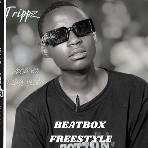 Beatbox freestyle (Remix)