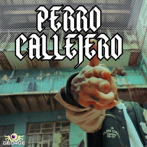 Perro Callejero