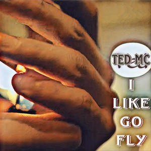 I Like Go Fly