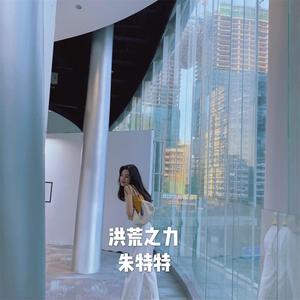 Riders On The Storm (DJ越南鼓版)