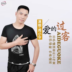 爱的过客
