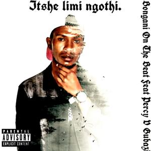 Itshe Limi Ngothi (feat. Percy V Gubazi) (Radio Edit)