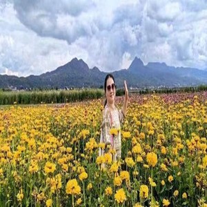 心安云南 (伴奏)