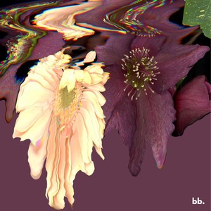 sprung