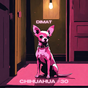 Chihuahua #30