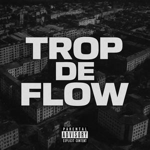 Trop de flow (feat. Spiner) (Explicit)