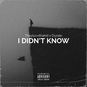 I Didn't Know (feat. Dyzaie)