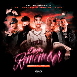 Do You Remember (Remix|Explicit)