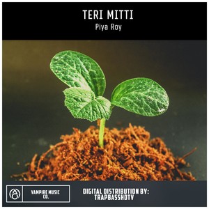 Teri Mitti