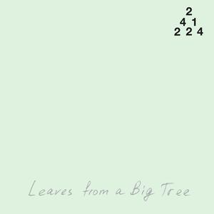 Leaves from a Big Tree (241224)