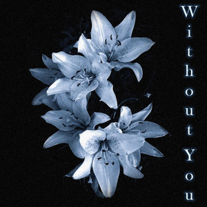 Without You - Slowed