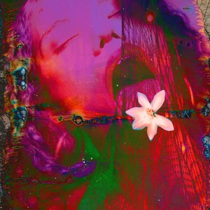 I Think I'm Falling in Love with You (The Perfect Girl)