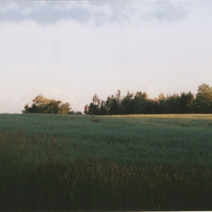 '98